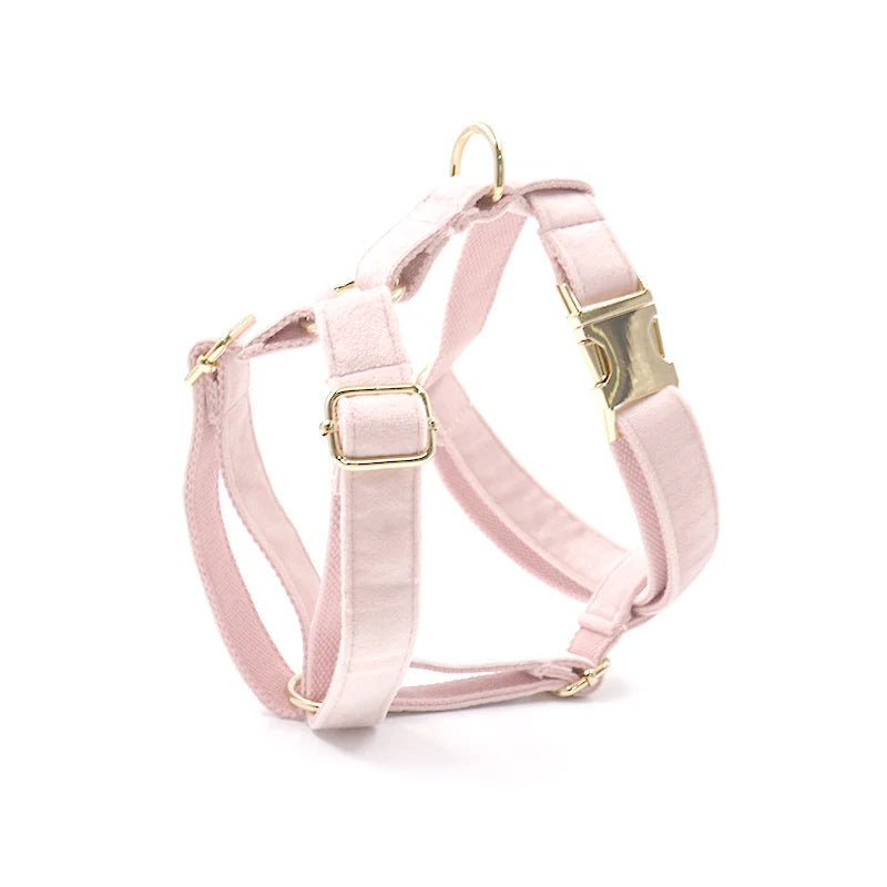 Customizable Buckle Engraving!  Luxury Pink Velvet Collar Dog Set (individual also)