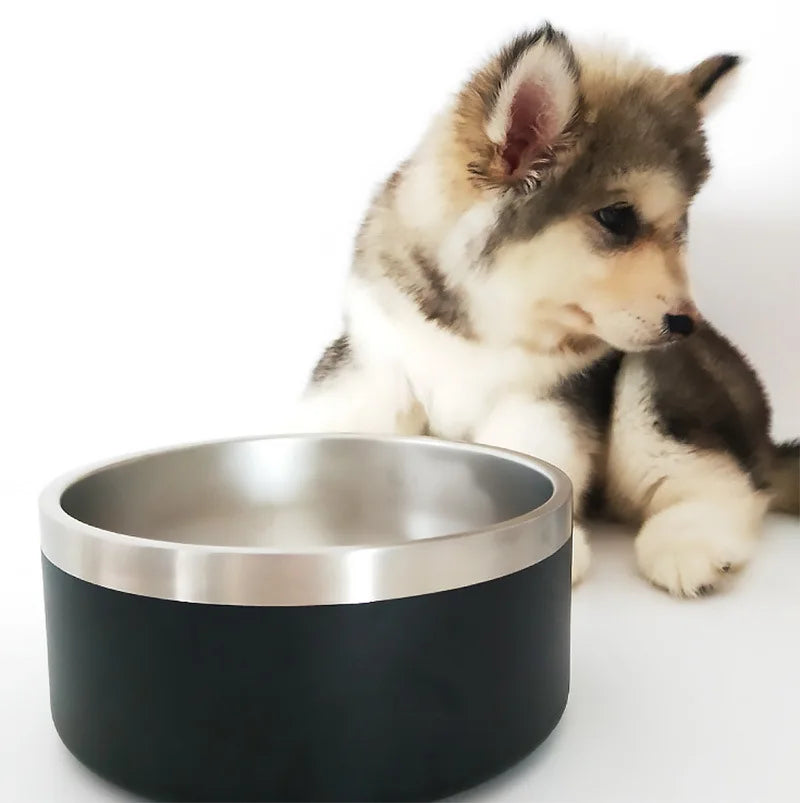 Personalized Stainless Steel Dog Bowls with Name