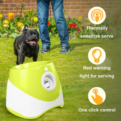 Frenzy: Automatic Dog Ball Launcher for Endless Fun!"