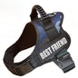 "Custom Adjustable Dog Harness – High-Quality Nylon Vest for Small & Large Dogs