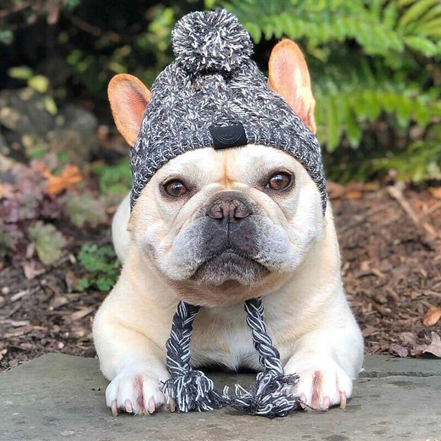 "Winter Warm Dog Hat – Windproof Knitted Hat with Fluffy Ball"