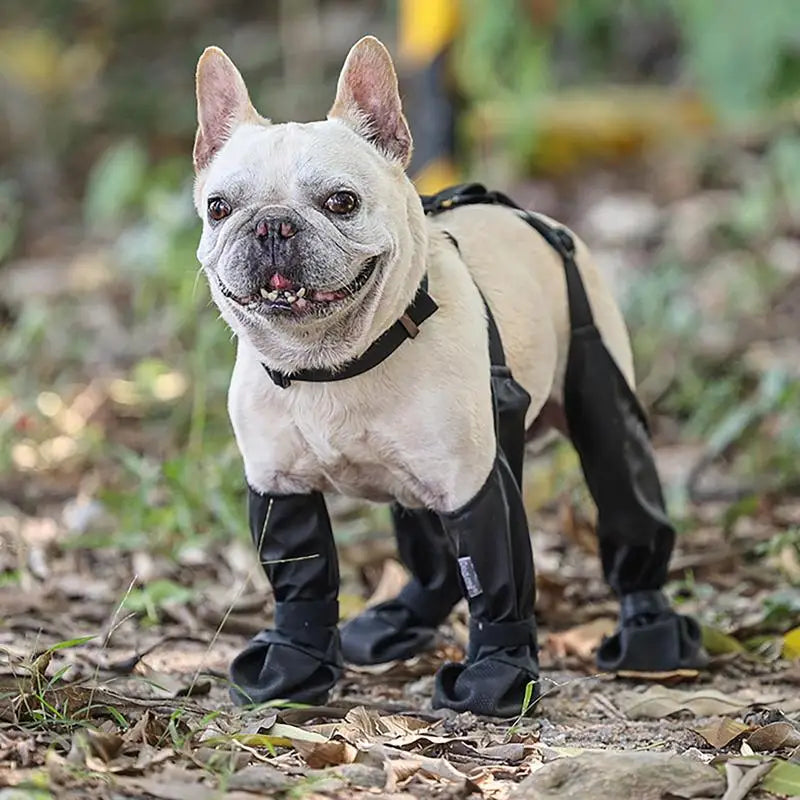 Waterproof Dog Shoes  Non Slip Breathable Outdoor Walking Shoes