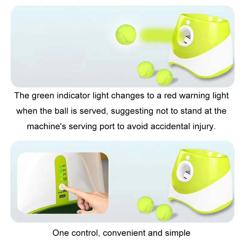 Frenzy: Automatic Dog Ball Launcher for Endless Fun!"