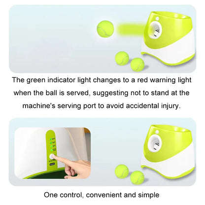 Frenzy: Automatic Dog Ball Launcher for Endless Fun!"