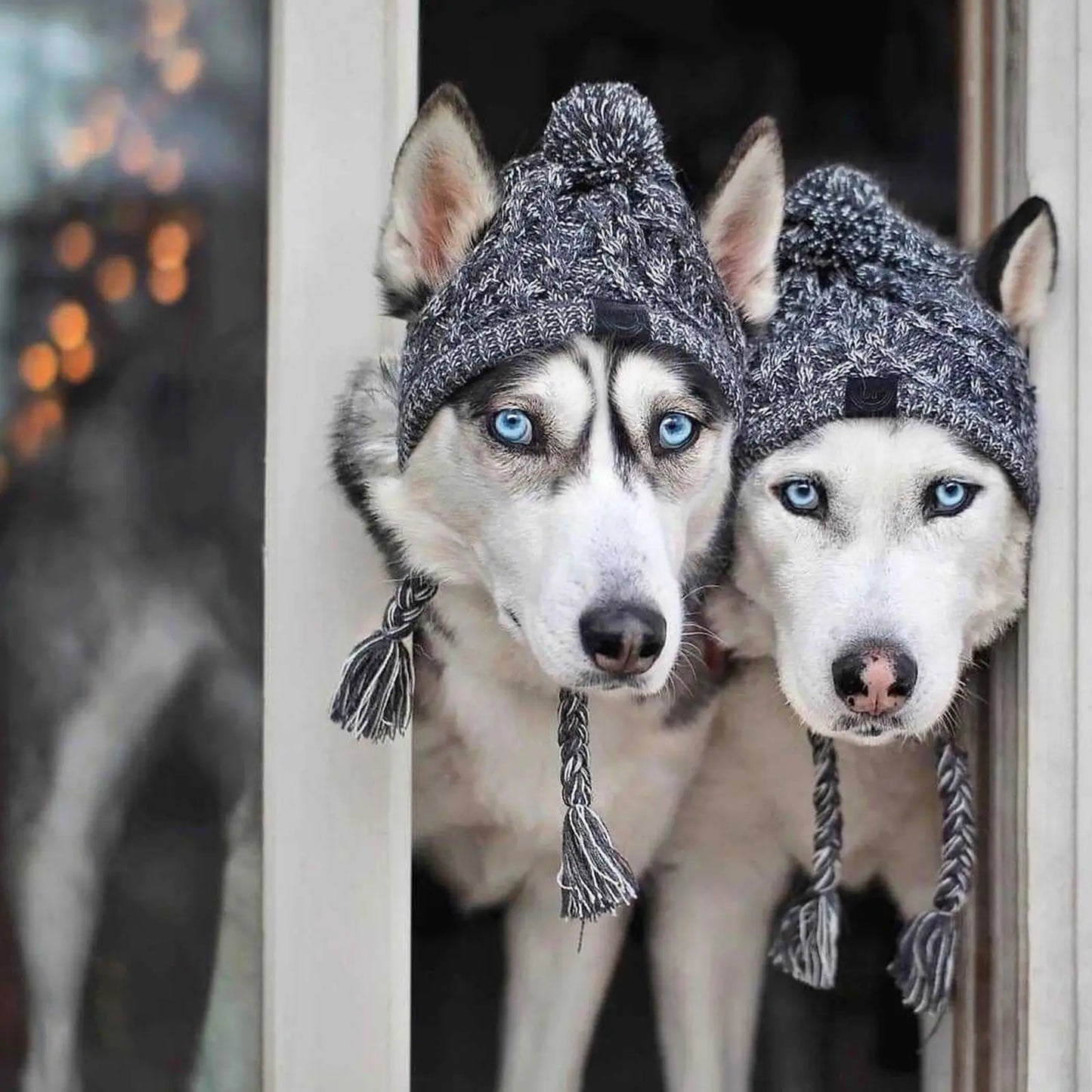 "Winter Warm Dog Hat – Windproof Knitted Hat with Fluffy Ball"