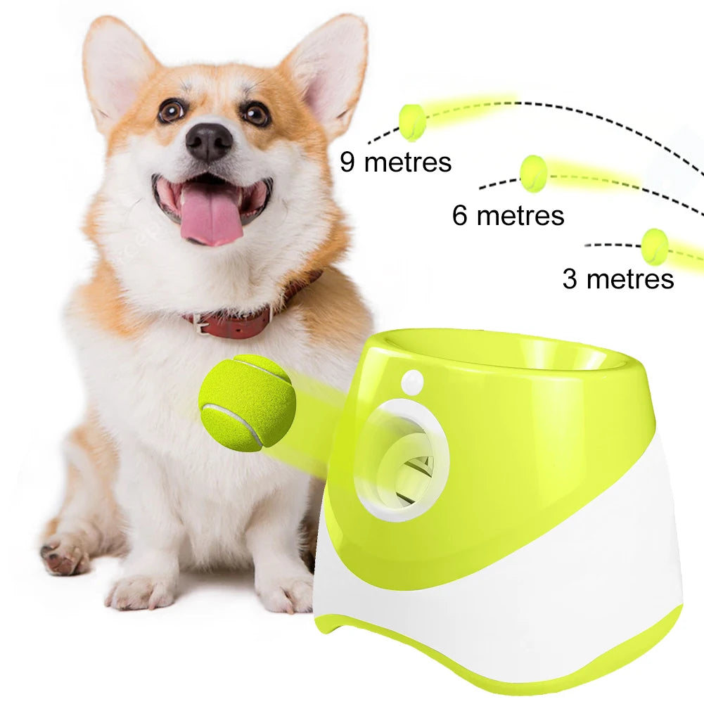 Frenzy: Automatic Dog Ball Launcher for Endless Fun!"